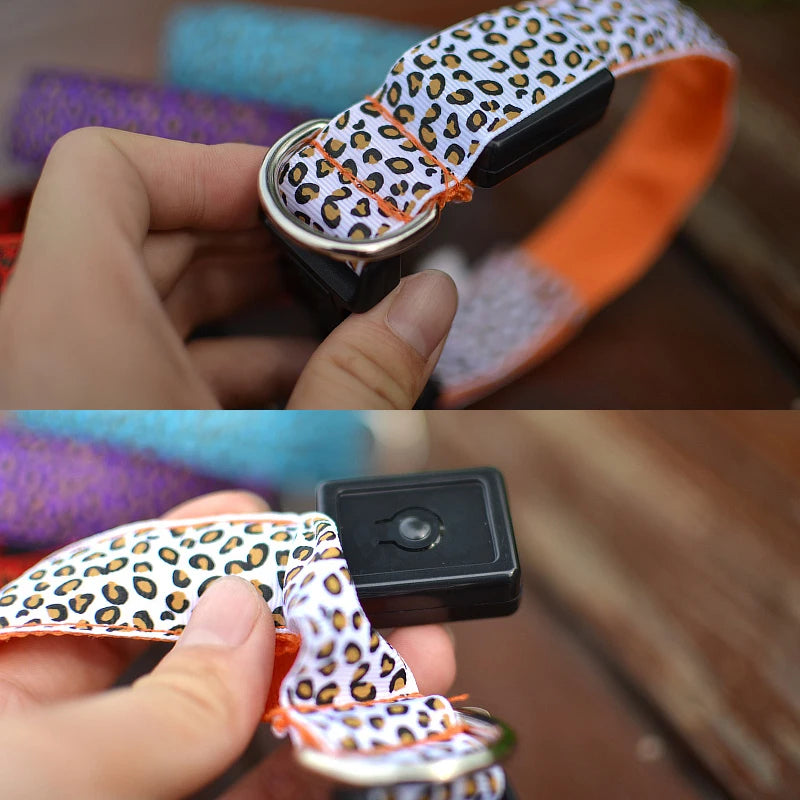 Close-up of a leopard print LED dog collar showing buckle and light feature.
