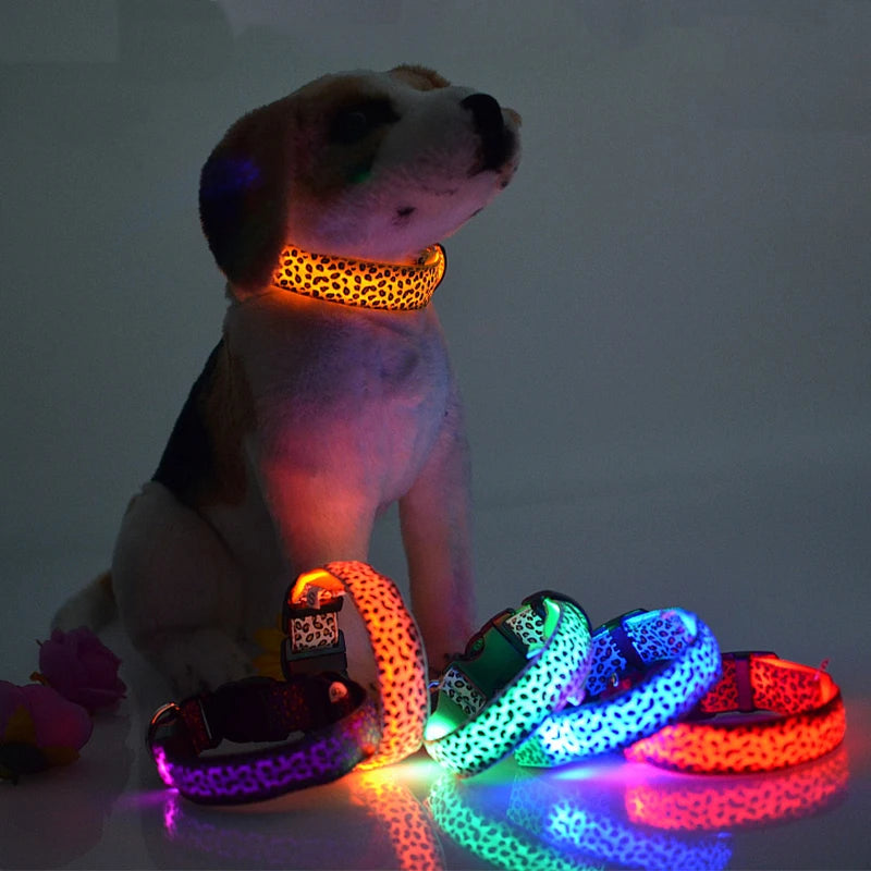 LED dog collar with stylish leopard print, glowing in various colors, displayed on a dog figure.