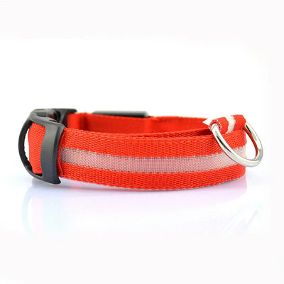 LED dog collar with stylish leopard print, glowing in various colors, displayed on a dog figure.