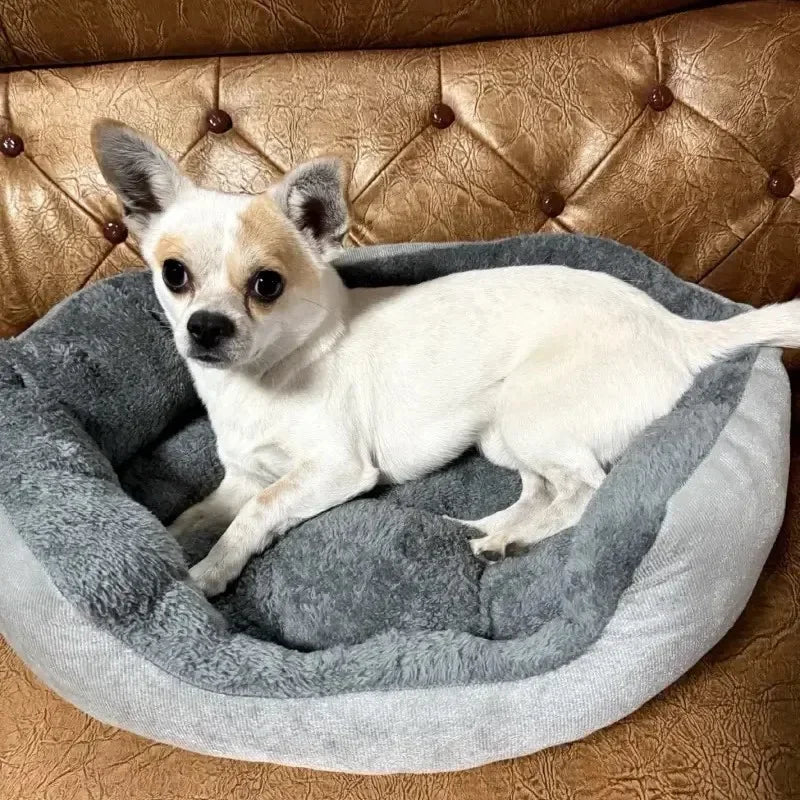 Soft Warm Dog Bed Pets Basket Cat House Sofa for Medium Large Dog Sofa Bed Cushion Dog Bed House Pet Supplies Accessories