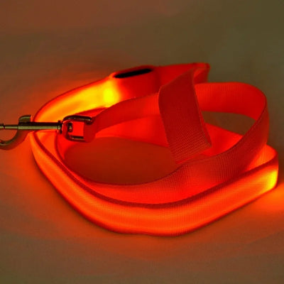 "LED Light Up Dog Leash – USB rechargeable