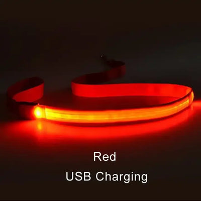 "LED Light Up Dog Leash – USB rechargeable