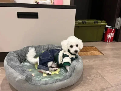 Soft Warm Dog Bed Pets Basket Cat House Sofa for Medium Large Dog Sofa Bed Cushion Dog Bed House Pet Supplies Accessories