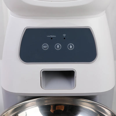 Automatic pet feeder for cats with LCD display and smartphone control, accompanied by a relaxed cat.