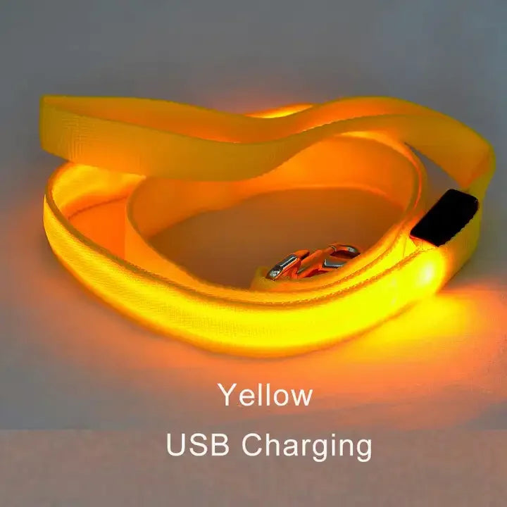 "LED Light Up Dog Leash – USB rechargeable