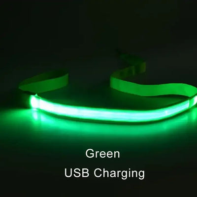 "LED Light Up Dog Leash – USB rechargeable