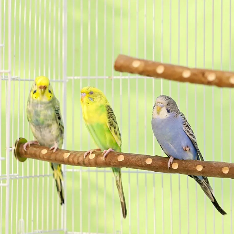 Natural Wood Bird Parakeet Stand Branch Fork Perch Rod Stand Paw Grinding Stick Bird Cage Accessories for Pet Budgies Cockatiels