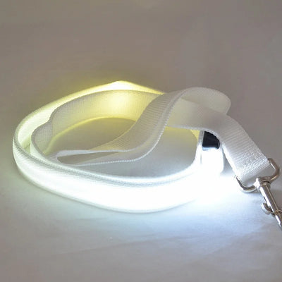 "LED Light Up Dog Leash – USB rechargeable