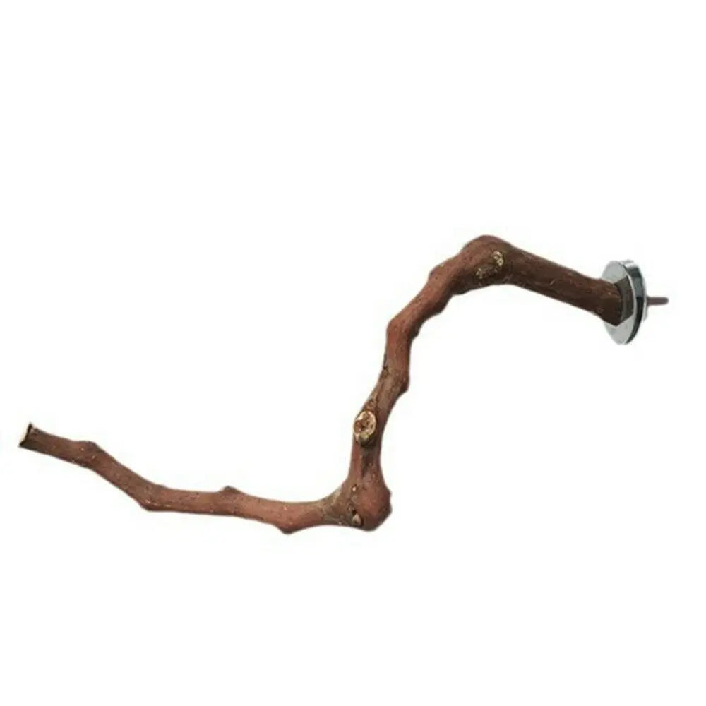 Cage Perches Pet Budgie Wood Parrot Bird Stand Tree Branch Hanging Toys