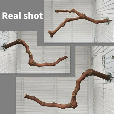 Cage Perches Pet Budgie Wood Parrot Bird Stand Tree Branch Hanging Toys