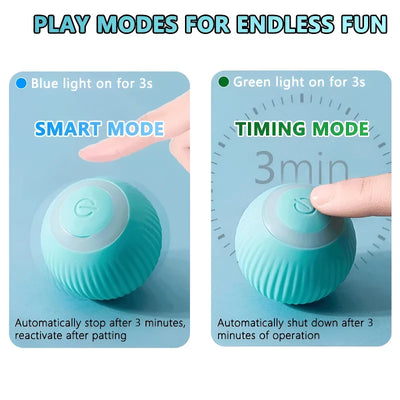 Smart Ball for Cats – Fun, Long-Lasting