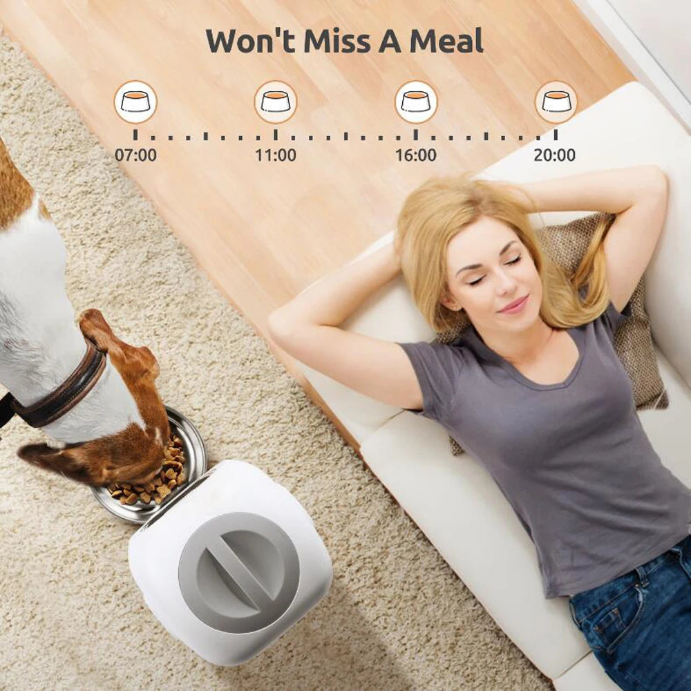 Automatic pet feeder for cats with LCD display and smartphone control, accompanied by a relaxed cat.